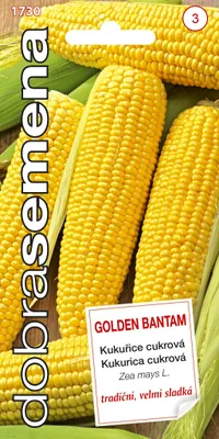Obrázok produktu pre KUKURICA cukrová Golden Bantam