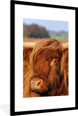Produktbild von MuchoWow® Gerahmtes Poster Schottischer Highlander - Gras - Baum 60x90 cm - Poster mit Schwarzem Bilderrahmen Wandposter Rahmen Foto Bilder - Dekoration - Wandposter Wohnzimmer - Hochwertig