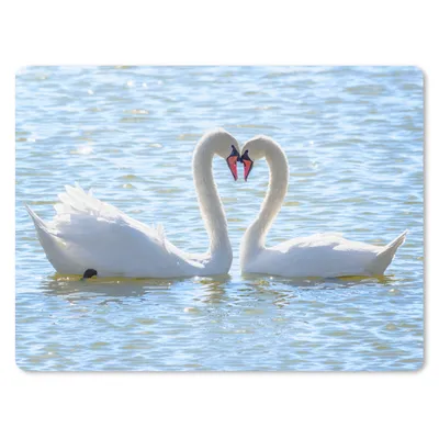 Produktbild von MuchoWow® Mauspad Mousepad Vögel - Schwan - Wasser - Liebe - Sonne 23x19 cm - Mousepads - Maus Mat - Pad - Mausunterlage - Schreibtischunterlage - Mauspad