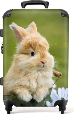 Obrázek produktu pro NoBoringSuitcases.com® Velký kufr - Rabbit - Flowers - Down - Kombinovaný zámek TSA - Pevná skořepina na kolečkách - 72 litrů - Cestovní kufr - 66 cmKufr Medium 67x43x25 cm, 72L,