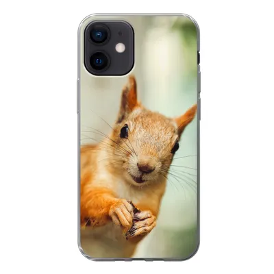 Produktbild von MuchoWow® Handyhülle Schutzhülle Hülle für iPhone 12 Eichhörnchen - Lustig - Nuss - Kinder - Jungen - Mädchen - Kind Silikon Softcase Handy Hülle - Schutzhülle