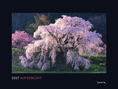 Produktbild von Aufgeblüht - KUNTH Wandkalender 2027