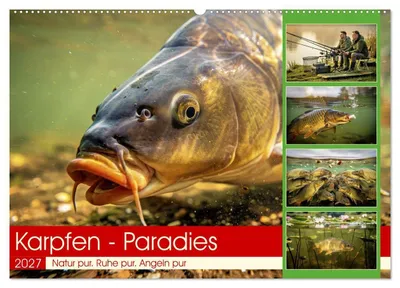 Produktbild von Karpfen - Paradies (Wandkalender 2027 DIN A2 quer), CALVENDO Monatskalender