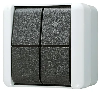 Immagine prodotto di Interruttore a bilanciere Jung 10AX 250V doppio contatto in scambio 809 W