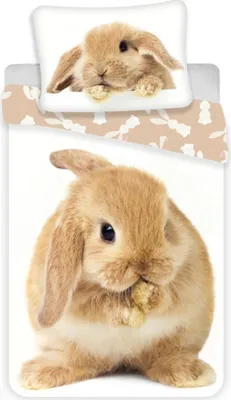 Produktbild von Leinen Fotoabzug Hase braun 140x200, 70x90 cm