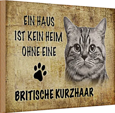 Produktbild von Holzschild Spruch 30x20cm Britische Kurzhaar Katze