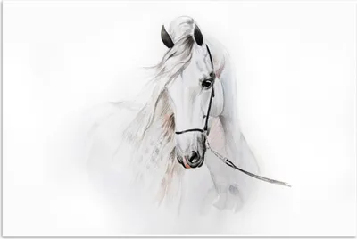 Produktbild von MuchoWow® Poster Pferd - Aquarell - Tiere - Weiß 120x80 cm - Bilder