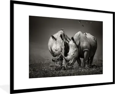 Produktbild von MuchoWow® Gerahmtes Poster Nashorn - Vogel - Tiere - Landschaft - Schwarz und weiß 90x60 cm - Poster mit Schwarzem Bilderrahmen Wandposter Rahmen Foto Bilder - Wanddekoration - Fotos