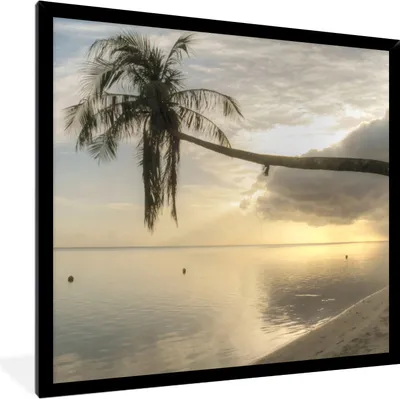 Produktbild von MuchoWow® MuchoWow® Gerahmtes Poster Überhängende Palme am Strand von Mo'orea 40x40 cm - Poster mit zchwarzem Bilderrahmen - Mit Rahmen - Wanddekoration Schlafzimmer