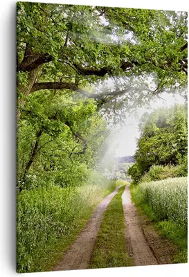 Produktbild von Bild auf Leinwand - Leinwandbild - Einteilig - Pfad Natur Wald Grün - 50x70cm - Wand Bild - Wanddeko - Wandbilder - Leinwanddruck - Wanddekoration - Leinwand bilder - Wandbild - PA50x70-2637