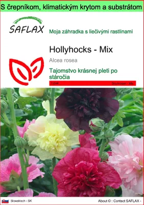 Obrázok produktu pre SAFLAX Garden to go - Hollyhocks - Mix - Alcea rosea - 100 Semená - S črepníkom, klimatickým vekom a pestovateľským substrátom