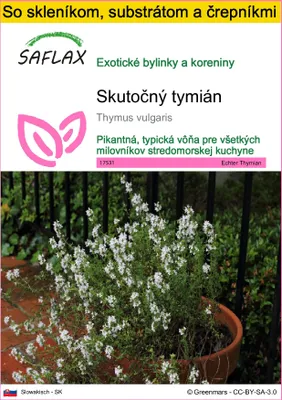 Obrázok produktu pre SAFLAX Kultivačný set - Skutočný tymián - Thymus vulgaris - 200 Semená - S mini skleníkom, pestovateľským substrátom a 2 črepníkmi