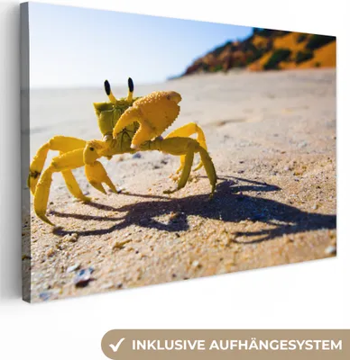 Zdjęcie produktu dla OneMillionCanvasses® - Obrazy na płótnie - 140x90 cm, Krab - Piasek - Zwierzęta, Dekoracja ścienna - Zdjęcie na płótnie - Obraz na drewnianej ramie