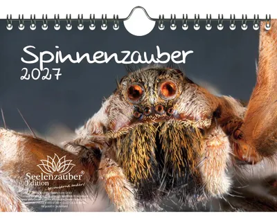 Produktbild von Spinnenzauber DIN A5 Kalender für 2027 - Seelenzauber