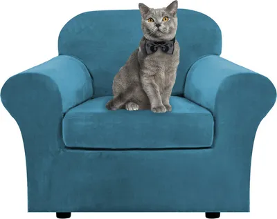 Produktbild von Samt Sofa Schonbezug Soft Stretch Couch Bezug High Elasthan Möbel Protector, 1-Sitzer / 81-122 cm,Blaugrün