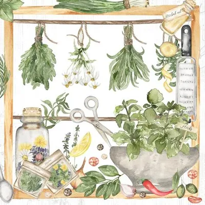 Obrázek produktu pro 20 ubrousků Bylinky a koření - Sbírané bylinky 33x33cm
