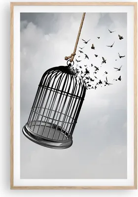 Produktbild von Gerahmtes Poster - Rahmen in heller Eiche - Freiheit Käfig Vögel - 61x91,5 cm - Wand Bild - Wanddeko - Wandbilder - Kunstposter - Wandposter - Bilderrahmen - Bilder - Kunstdruck - P2NPA61x91-4997