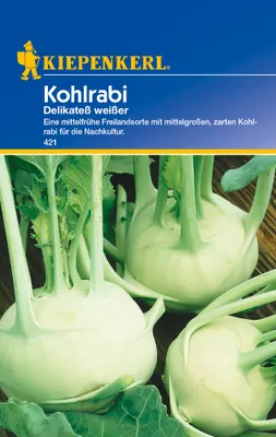 Produktbild von KIEPENKERL Kohlrabi Delikateß Weiß