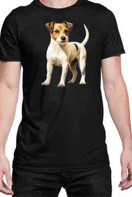 Produktbild von Herren T-Shirt Dogs Breeds Russell Terrier Dog Breed 006, Man 2XL / Schwarz
