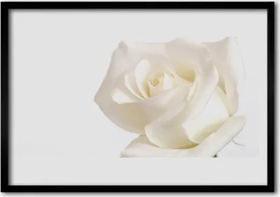 Produktbild von Bild 100x70 MDF-Rahmen Wandkunst Rose Blumen