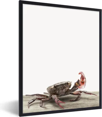 Produktbild von MuchoWow® Gerahmtes Poster Kinder - Krabbe - Meerestiere - Jungen - Mädchen - Kinder 60x80 cm - Poster mit Schwarzem Bilderrahmen Wandposter Rahmen Foto Bilder - Premium - Wanddeko Wohnzimmer