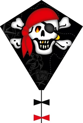 Zdjęcie produktu dla Ecoline Kinderdrachen Eddy Jolly Roger 50 cm