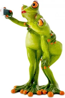 Immagine prodotto di Formano divertenti rane Figura Coppia di rane Selfie Poly 16 cm