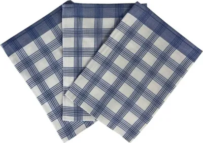 Obrázek produktu pro Utěrky Bambus 50x70 cm Kostka velká modrá, 3 ks