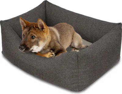 Produktbild von Petzzz Hundebett Lucky L 100 x 70 x 27 cm mit orthopädischem Innenkissen