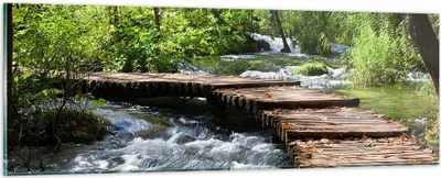 Produktbild von Bilder auf glas - Park natur grün bäume - 90x30cm - Glasbilder - Wandbilder - Kunstdruck - zum Aufhängen bereit - Wanddekoration aus Glas - Glas Bilder - Wandbild auf Glas - Einteilig - GAB90x30-0356