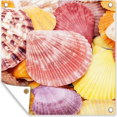 Produktbild von MuchoWow® 50x50 cm Outdoor-Poster Gartendeko Sichtschutz Garten Poster für den Garten  Muscheln - Rot - Gelb - Strand - Sommer