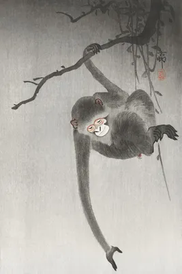 Zdjęcie produktu dla Plakat 40x60cm Monkey 2, Koson Japoński Vintage do Salonu