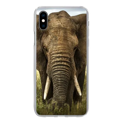 Produktbild von MuchoWow® Handyhülle Schutzhülle Hülle für iPhone Xs Elefant - Natur - Gras - Tiere - Landschaft Silikon Softcase Handy Hülle - Handytasche