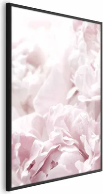 Produktbild von Posterpapier Poster - Fluffy Peonies 60x90 cm Blumen b-B-0340-ao-a