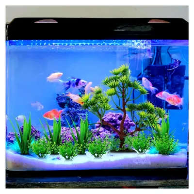Produktbild von 10 Stück Künstliche Pflanzen für die Aquarien- und Terrariumdekoration