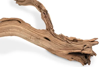 Produktbild von Ghostwood Baum sandgestrahlt ca. 90cm hoch