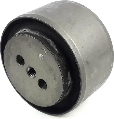 Image de Silentbloc de bras en V de suspension Volvo | 1075255 20554908 2073562 2602801 3173759 2.62003