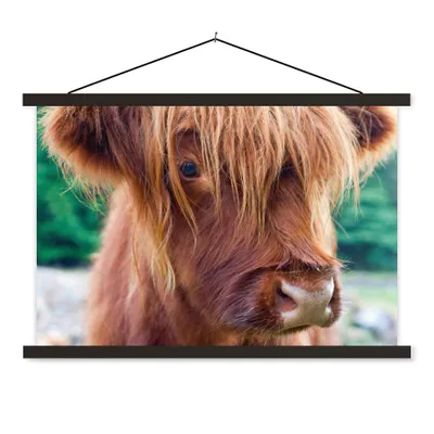 Produktbild von MuchoWow® Textilposter Schottischer Highlander - Braun - Kalb 90x60 cm mit schwarzem Rahmen - Aufhängungssatz
