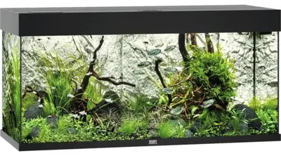 Produktbild von Aquarium JUWEL Rio 180 mit LED-Beleuchtung, Pumpe, Filter, Heizer ohne Unterschrank schwarz