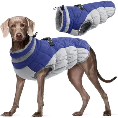 Image de Manteau d'hiver pour chien, veste imperméable avec harnais, couleur bleue, taille L
