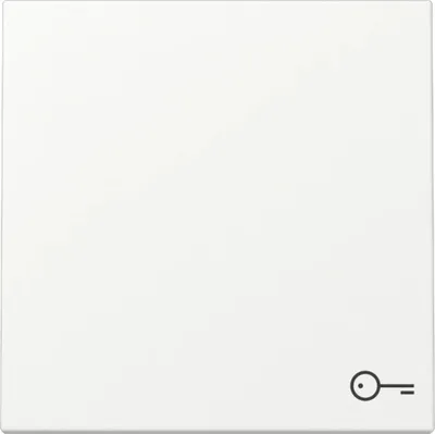 Produktbild von GIRA 328727 Wippe Symbol Tür System 55 Reinweiß seidenmatt