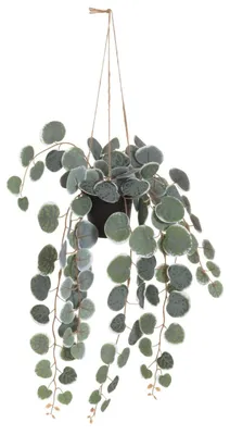 Produktbild von Künstliche Hängepflanze, 40 cm