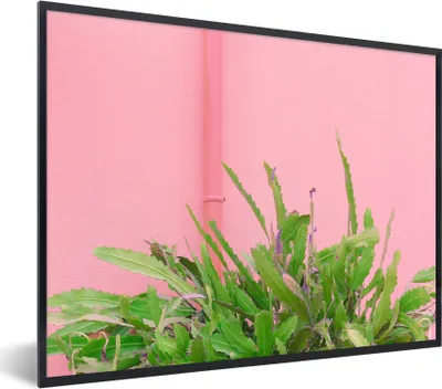 Produktbild von MuchoWow® Gerahmtes Poster Pflanze - Sommer - Rosa 80x60 cm - Poster mit Schwarzem Bilderrahmen Wandposter Rahmen Foto Bilder - Schwarzem - Mit Gestell