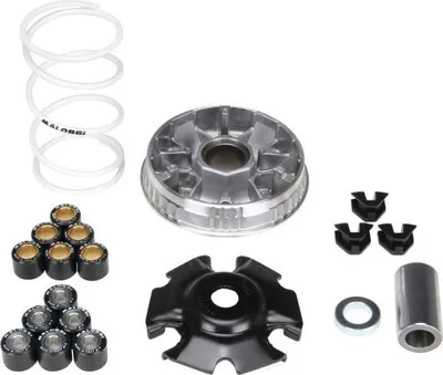 Zdjęcie produktu dla Wariator MALOSSI Multivar dla Aprilia SR 125 / Gilera Runner / Piaggio Hexagon SKR Skipper TPH 125 180