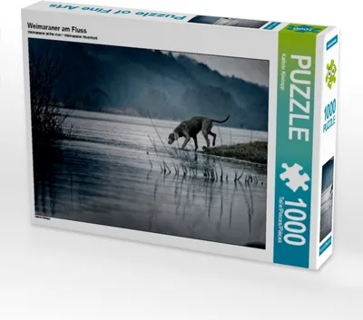 Produktbild von Calvendo Weimaraner am Fluss 1000 Teile Puzzle quer 640x480mm, Köntopp Kathrin; 7404251