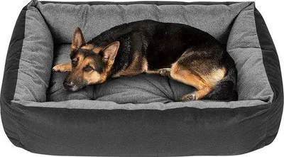 Immagine prodotto di Cuscino e cuccia per cani Famanu: traspiranti e ipoallergenici