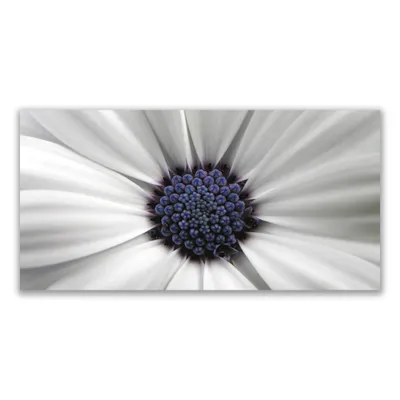 Produktbild von Glasbilder - Bild - 120 cm x 60 cm - Wandbild Druck auf Glas Blume Pflanzen