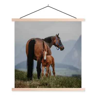 Produktbild von MuchoWow® Textilposter Pferd - Fohlen - Berg 60x60 cm mit holzfarbenen Rahmen - Wanddekoration