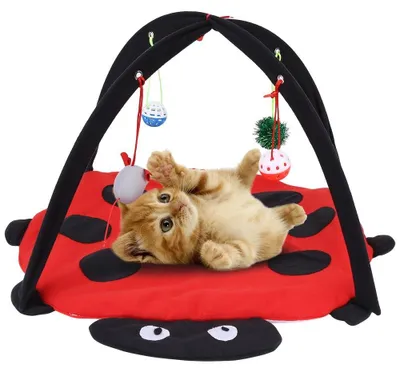 Produktbild von Katzenbett Robustes und Weiches Material - Katzenhaus - Kratzbaum - Katzenkissen - Faltbar - Spielzeug mit 4 Spielzeugen - Spielmatte