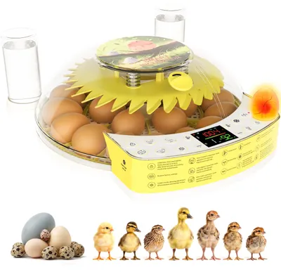Brutmaschine für 12 Eier, automatischer Eierwender, Temperaturregelung